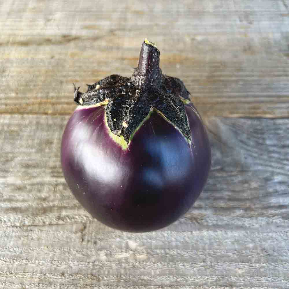 Round of Valencia, Solanum melongena L.