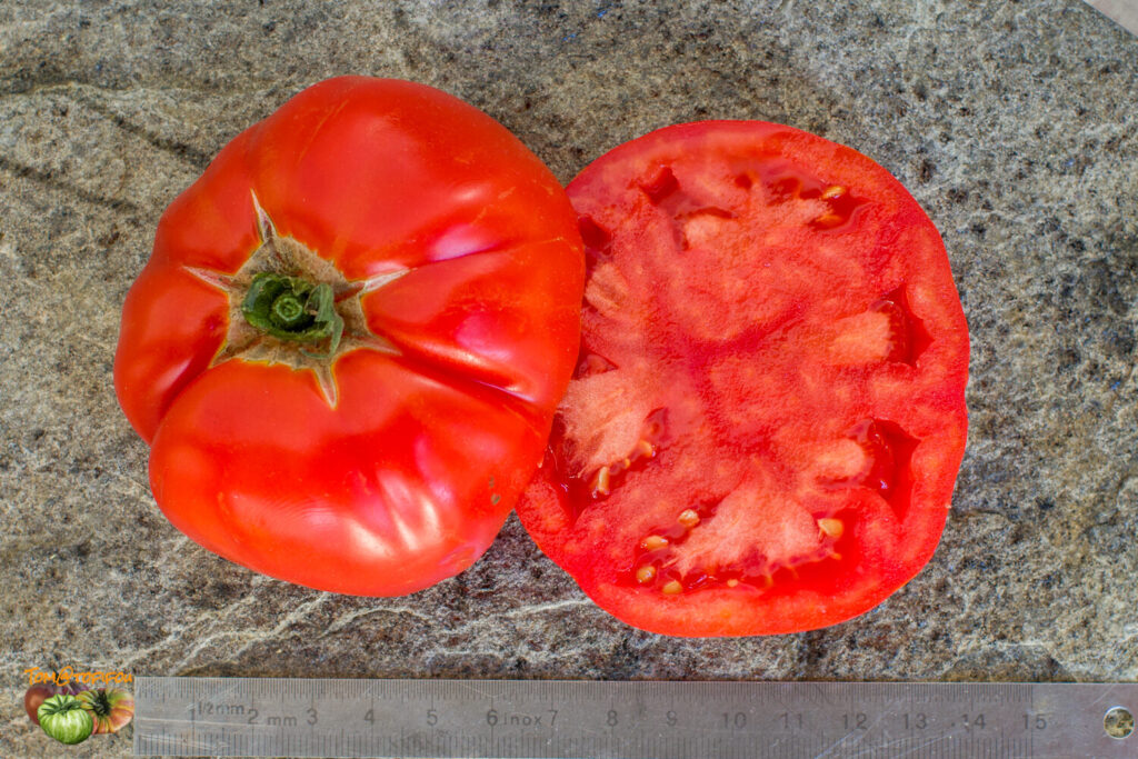 tomate Saint pierre